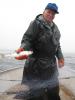 North Shore commercial fisherman Joe Carlson - picking herring nets - May 2010 - photo by Carah Thomas